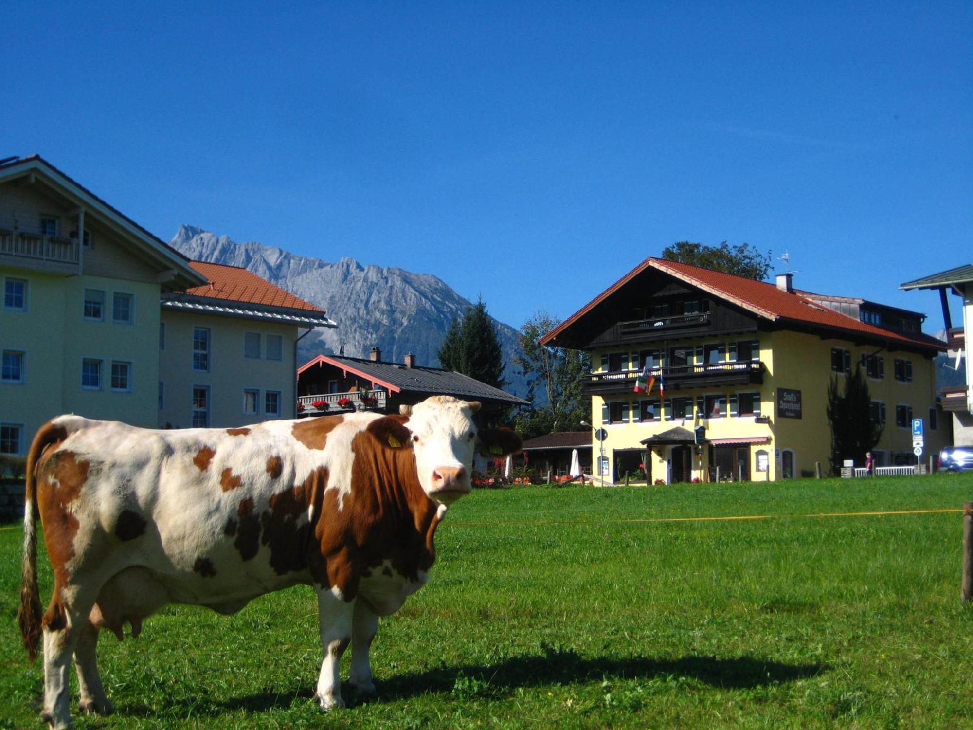 Sporthotel Schonau Am Konigssee Zewnętrze zdjęcie